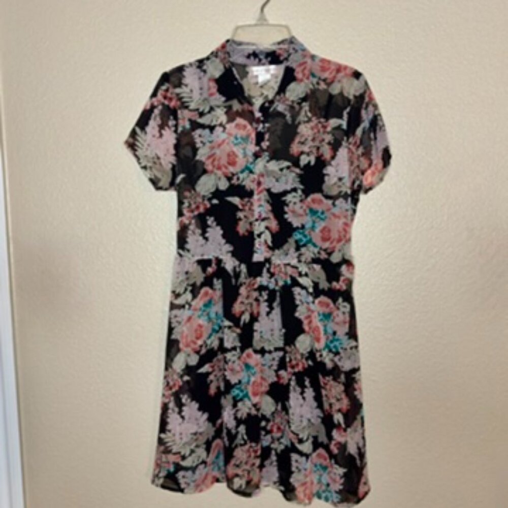 Band of Gypsies - *VINTAGE* sheer midnight floral dress size Small
